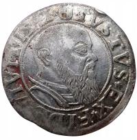 NumisMATI D3111 Grosz 1541 Albrecht Hohenzollern, srebro