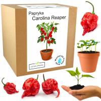 Набор для Выращивания Carolina Reaper HP22B Ред-семена