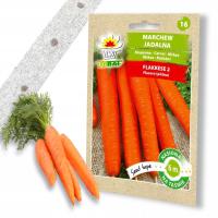 Семена овощей на ленте морковь поздняя сладкая 6м