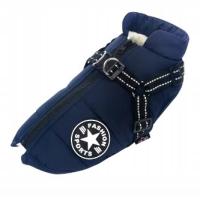 Kurteczka Psakota niebieski