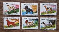 Fauna - Pies - Kuba
