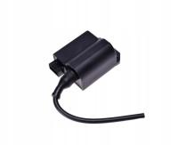 КАТУШКА С МОДУЛЕМ ДЛЯ SUZUKI KATANA50 SKY50 AC