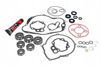 ПОДШИПНИКИ SIMERINGI ГЕРМЕТИКИ ПРОКЛАДКИ AM6 ТЗР