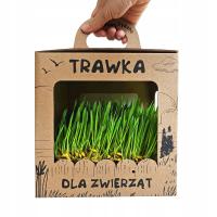 Кошачья трава свежесобранное лакомство, готовое к употреблению