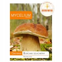 Подберезовик благородный (Boletus Edulis) мицелий лесные грибы