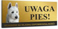 Tabliczka ZŁY PIES WEST HIGHLAND WHITE TERRIER