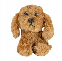 Lumo Cockerspaniel Bubby Classic puppies Tactic