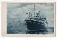 Gdynia - Port - Statek MS Batory - PTK - ok1950