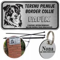 TABLICZKA UWAGA PIES ADRESÓWKA BORDER COLLIE