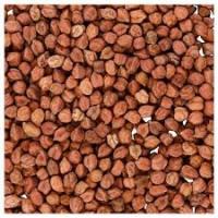 Ciecierzyca czarna Black chickpeas Kala chana 500g