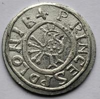 NUMIZMAT - KSIĄŻĘ POLSKI ŚREDNIOWIECZE - H12