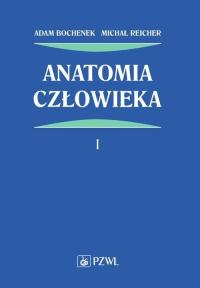 ANATOMIA CZŁOWIEKA TOM 1 Bochenek