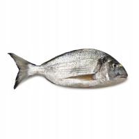 Dorada patroszona cała mrożona bez ości 10% glazury 5 kg