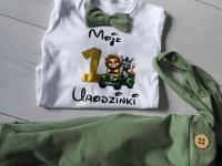 Komplet na roczek rok chłopiec pistacjowy safari Moje 1 urodzinki