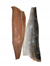 ŁOSOŚ DZIKI PACYFICZNY GORBUSZA FILET ZE SKÓRĄ 2kg MROŻONY