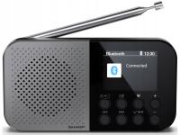 DAB , FM, интернет-радио Sharp DR-P520GY
