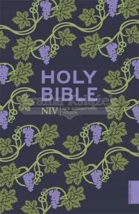 NIV Holy Bible (Hodder Classics) New International Version