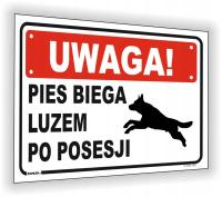 Uwaga! Pies biega luzem po posesji tabliczka biała 20x30cm