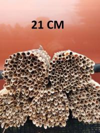 RURKI 21CM trzcina pszczola murarka ogrodowa