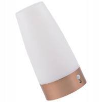 LAMPKA NOCNA Z CZUJNIKIEM RUCHU DO SYPIALNI I KORYTARZA