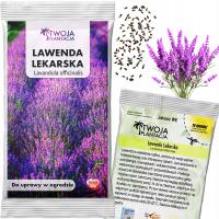 Лаванда Узколистная Семена Морозостойкие Лекарственные Травы Душистые 200 Семян