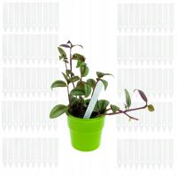 ETYKIETY DO ROŚLIN TABLICZKI OGRODOWE DO OPISYWANIA SADZONEK ZNACZNIKI 100