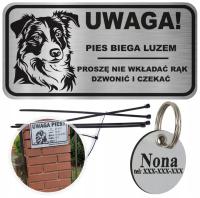 TABLICZKA UWAGA PIES ADRESÓWKA BORDER COLLIE