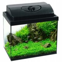 Аквариум 35л простой 40X25X35CM 12 поддавки