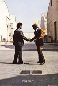 PINK FLOYD - PLAKAT WISH YOU WERE HERE (91.5X61)