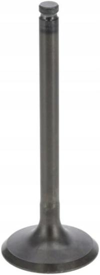 Zawór ssący 120042093