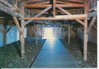 Majdanek muzeum obóz - 026479