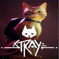 STRAY STEAM NOWA GRA PEŁNA WERSJA PC PL