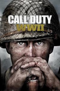 Call of Duty: WWII полная версия STEAM PC