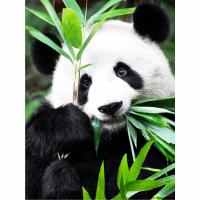 Diamond Painting na Ramie Haft Diamentowy Duży 40x50 cm Prezent Panda Mama