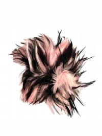 Fascynator ozdoba głowy pióra pudrowy róż czarny