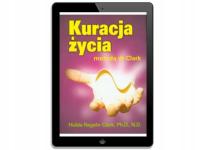 Kuracja Życia - ebook