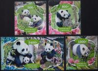 T.0263*C SERIA FAUNA SSAKI PANDA W ŚRODOWISKU