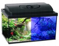 AKWARIUM 30L 40x25x30cm POKRYWA LED DZIEŃ/NOC + Ozdoba +13 gratisów
