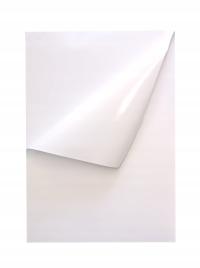 Пленка для лазерного принтера с клеем белая A4 10x