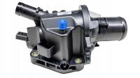 Renault OE 110604371r термостат, охлаждающий агент