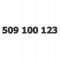 509 100 123 ЗЛОТЫЙ ЛЕГКИЙ ПРОСТОЙ СТАРТЕР НОМЕРА ОРАНЖЕВЫЙ ПРЕДОПЛАЧЕННЫЙ GSM SIM-КАРТА