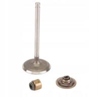 ZAWÓR SSĄCY BRIGGS & STRATTON 791935 84013513