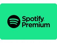 Spotify Premium 1 месяц