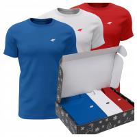 Мужская футболка с круглым вырезом 4F