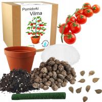 Набор для выращивания томатов Вилма помидоры черри семена 10X многолетний