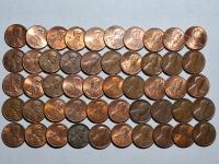 USA 50 monet 1 cent ciekawy mix roczników -Nr2609