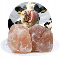 Lizawka Solna dla Bydła Kóz Kozy Sół Bryły 10KG