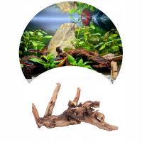 Naturalny Korzeń do Akwarium Desert Rozmiar M 20cm