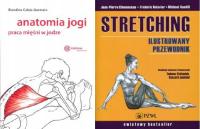 Anatomia jogi + Stretching