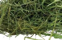 POKARM DLA ŚWINEK 1,5KG, DOBRE SIANO Z ZIÓŁ ŁĄKOWYCH, ŚWIEŻE I AROMATYCZNE